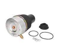 Arnott A-2523 - Muelle de aire