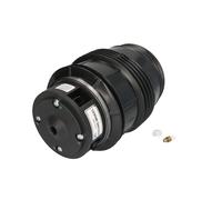 Muelle neumático, suspensión ARNOTT EUROPE A-2725