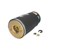 Muelle neumático, suspensión ARNOTT EUROPE A-2737 izquierda