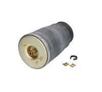 Muelle neumático, suspensión ARNOTT EUROPE A-2738