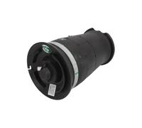 Muelle neumático, suspensión ARNOTT EUROPE A-2755