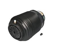 Muelle neumático, suspensión ARNOTT EUROPE A-2790