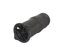 Muelle neumático, suspensión ARNOTT EUROPE A-2801