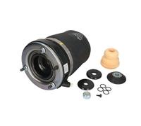 ArnottEurope Arnott A-2861 - Muelle de aire delantero derecho (0-06 BMW X5 (E53) con nivelación de 4 esquinas)