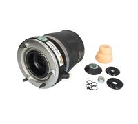 Muelle neumático, suspensión ARNOTT EUROPE A-2862 izquierda