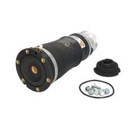 Muelle neumático, suspensión ARNOTT EUROPE A-2869