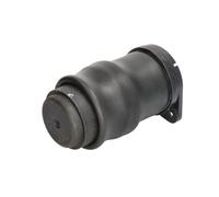 Muelle neumático, suspensión MAGNUM TECHNOLOGY MZM018MT