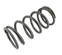 Muelle para STAGE6 R/T Amortiguador, 100 LB Linear, Piaggio Zip I & II, Parte Delantera