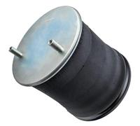 Muelle Suspensión Neumática Amortiguador Neumático Universal Para Camiones De Servicio Pesado, Delantero Y Trasero, Izquierdo Y Derecho, Con Fuelle Y Bolsa W017558050 1T19J