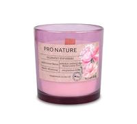 Müller Kerzen Pro Nature Vela aromática en vaso con mecha de madera y cera de colza, aroma a rosa silvestre, contiene aceites esenciales naturales y aceite de colza, 40 horas de combustión