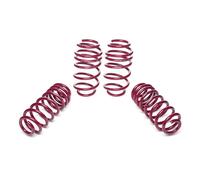Muelles De Baja Para Opel Astra F, Solo Diesel De 10.1991 A 03.1998