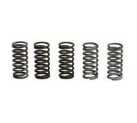 Muelles de embrague TRW MEF309-5