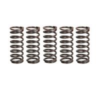 Muelles de embrague TRW MEF310-5