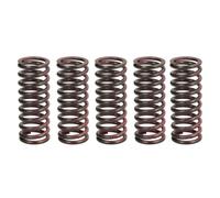 Muelles de embrague TRW MEF312-5