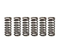 Muelles de embrague TRW MEF326-6