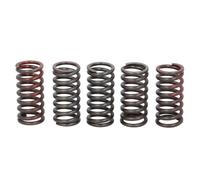 Muelles de embrague TRW MEF328-5