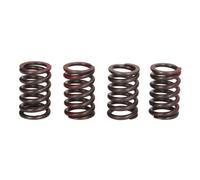 Muelles de embrague TRW MEF329-4