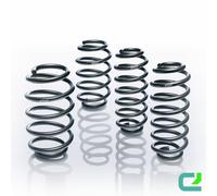 Resorte de suspensión Pro-Kit EIBACH E10-30-010-02-22