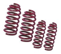 Muelles deportivos Vogtland 952080 para Mercedes Benz E-Klasse W210