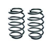 Muelles Pro-Kit Eibach E10-25-048-07-22 para Mercedes-Benz C-Class, C-Class T-Mo