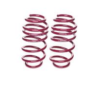 Muelles Rebajados Vogtland para Renault Clio ,B/C 57 ,Incl. 16V Bj.1990-09.1998