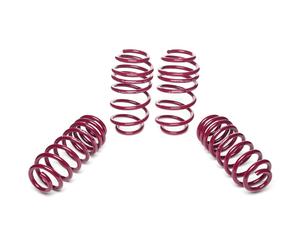 Muelles Rebajados Vogtland para VW Polo 6R VA De Acerca 860KG Sin Diesel Incl.