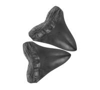 MUELODSIC 2 Piezas Réplicas de Dientes de Megalodón Resina Decoración Paleontológica Única para Hogar y Oficina Ornamento Ligero y Compacto para Coleccionistas y Aficionados la Prehistoria