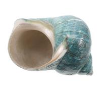 MUELODSIC Conchas Naturales Grandes de Caracola Mediterránea para Decoración de Hogar y Acuarios Exhibición de Escritorio Temática Marina Regalo Único para Coleccionistas y Manualidades