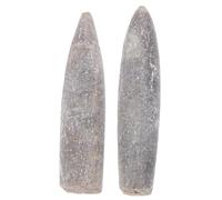 MUELODSIC Especímenes Fósiles Naturales De Belemnita 2 Piezas 5-6 Cm, Material Didáctico Epifaunal Para Enseñanza y Decoración Del Hogar, Adorno Educativo Para Geología y Paleontología