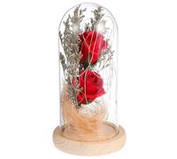 MUELODSIC Lámpara de Mesa LED Flor Eterna Roja Decoración Romántica para Escritorio y Dormitorio Luz de Noche sin Batería Adorno Artesanal para Hogar y San Valentín