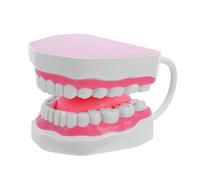 MUELODSIC Modelo de Dientes Endodónticos de Enseñanza 6 Veces Ampliado Color Rosa Modelo de Demostración Limpio de Higiene para Práctica Educativa y Estudio Clínico Portátil