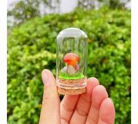 Muestra de hongo de cristal, decoración de hongos de cristal, decoración del hogar de cristal, piedra de cristales educativos, regalo, 5. Obsidiana roja