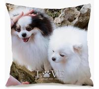 Muewent Funda de almohada personalizada para sofá con una foto con mensaje personalizado que enriquece el estilo de tu hogar mientras que proporciona una idea de regalo cálida y memorable