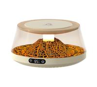 Mug Warmer, Smart Cup Heater, 5.12x5.12x2.76 Inches 4 Temperature Setting Plate, Portable Candle with Display, Convenient Heating Solution for Home Dorm Apartment Hotel Office Use