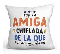 MUGFFINS Cojín 40x40 cm para Amiga Relleno Incluído - En Español - Todos te advirtieron - Regalo Original y Divertido