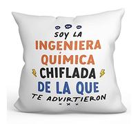 MUGFFINS Cojín 40x40 cm para INGENIERA QUÍMICA Mujer Relleno Incluído - En Español - Todos te advirtieron - Regalo Original y Divertido