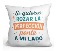 MUGFFINS Cojín con Relleno Cojines Originales para Regalar | Cojines Divertidos | Humor Borde | Si Quieres rozar la perfección, Ponte a mí Lado en Español | 40x40cm | poliéster | Graciosas v2