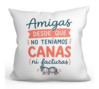 MUGFFINS cojín con Relleno Gracioso para Mejores Amigas Amistad v1 | 40 x 40 cm; «Amigas desde que no teníamos canas (ni facturas)» en Español