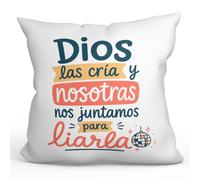 MUGFFINS cojín con Relleno Gracioso para Mejores Amigas Amistad v1 | 40 x 40 cm; «Dios las cría y nosotras nos juntamos para liarla» en Español