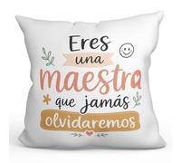 MUGFFINS cojín con Relleno Regalo Profesora Infantil | Eres una Maestra Que jamás olvidaremos en Español | Detalle Maestra, cojín profe, educación | Enseñanza v2