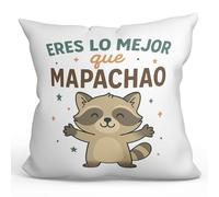 MUGFFINS cojín Gracioso con Relleno 40x40cm | Cojines Originales para Regalar Enamorados | Eres lo Mejor Que mapachao en Español | Pareja v3