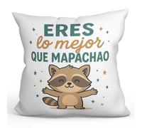 MUGFFINS cojín Gracioso con Relleno 40x40cm | Cojines Originales para Regalar Enamorados | Eres lo Mejor Que mapachao en Español | Pareja v1