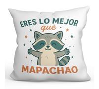 MUGFFINS cojín Gracioso con Relleno 40x40cm | Cojines Originales para Regalar Enamorados | Eres lo Mejor Que mapachao en Español | Pareja v2