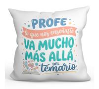 MUGFFINS cojín Profesora con Relleno | cojín Profesor con Frase Profe lo Que Nos enseñaste va Mucho más allá del temario en Español | Regalo profe Agradecimiento | Profesorado v3