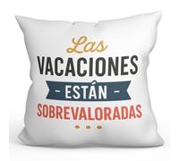 MUGFFINS Cojines Originales para Regalar con Relleno | Ideas Divertidas política | 40x40cm | Frase Las Vacaciones están sobrevaloradas en Español | poliéster | Politica-2 v3