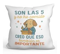 MUGFFINS Cojines Originales para Regalar con Relleno | Ideas Divertidas política | 40x40cm | Frase Son Las 5 y no he Comido Creo Que eso también es Importante en Español | poliéster | Politica v2