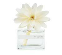 MUHA' | Ambientador para ambientes Flower Diffuser, aroma Iris Cipriato, difusor de ambiente con flor de madera de abedul, 30 ml
