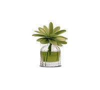 Muhà Flower Diffuser 60 ml Mosto Supremo