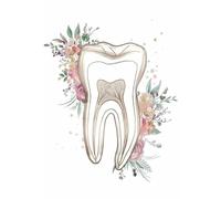 Muholin Arte de anatomía dental,floral,salud bucal,acuarela,odontología,arte de pared minimalista,pintura en lienzo,carteles para decoración del hogar 21x30cm sin marco