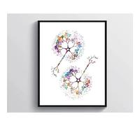 Muholin Póster de pared con anatomía floral colorida,fisiología,corazón,cerebro,terapeuta,clínica,habitación,decoración del hogar,pintura en lienzo 60x90cm Sin Marco